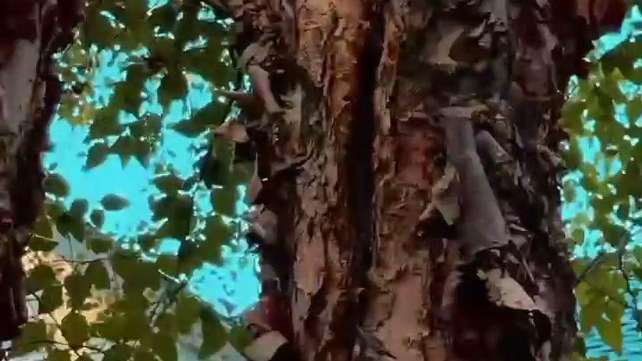 Crane work in SE Boise